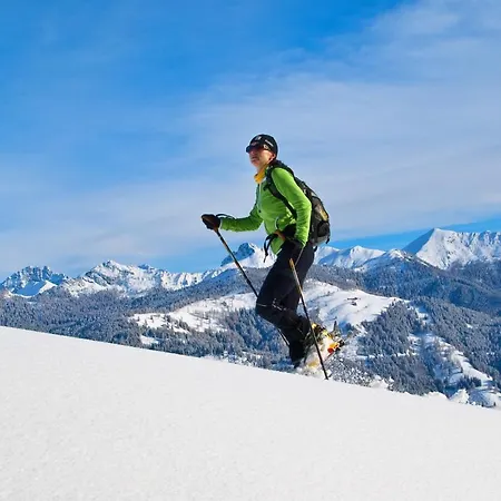 Appartement Haus Fercher Grossarl