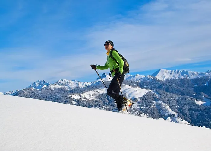 Lejlighed Haus Fercher Grossarl